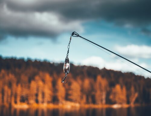 Futterschleuder – Hilfreiches Zubehör für Angler